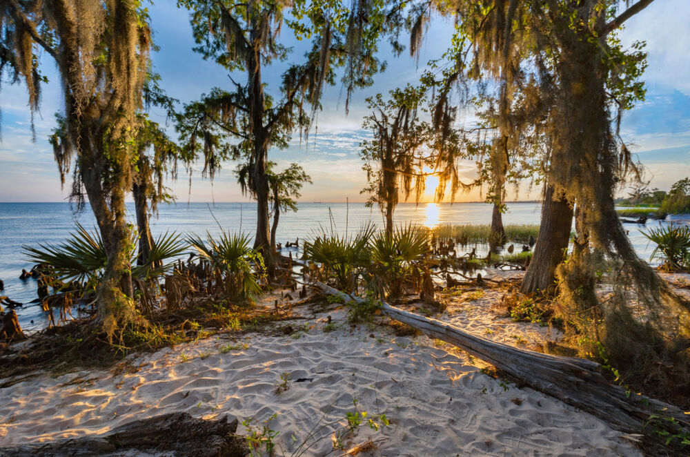 5. Louisiana